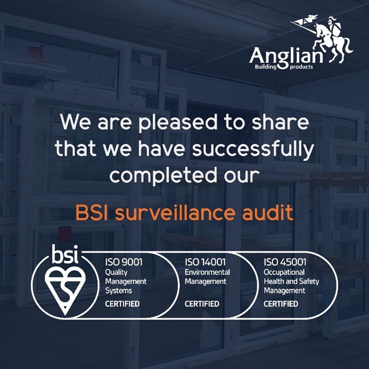 BSI Surveillance Audit