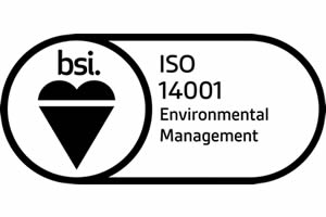 BSI Environmental Management