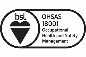 BSI Occupational Health and Safety Management